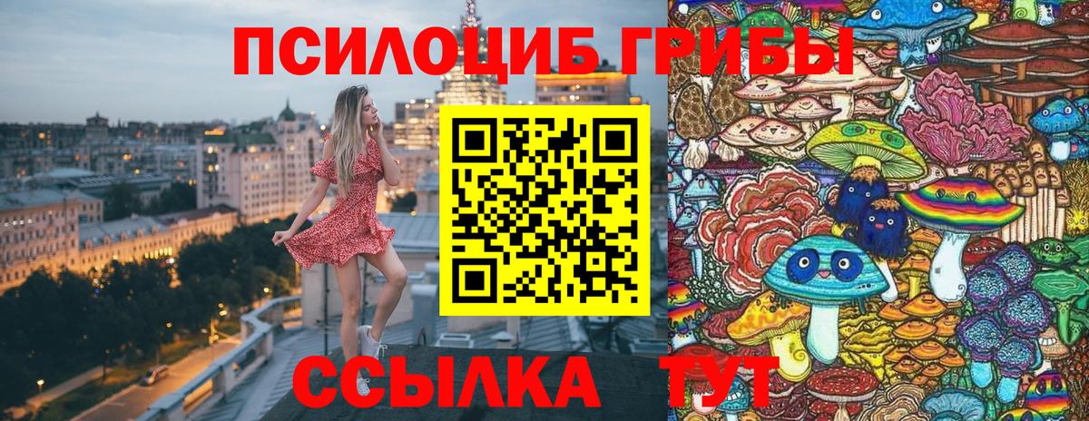 Псилоцибиновые грибы Psilocybe  Вход с VPN  Лесозаводск  Псилоцибиновые грибы прущие грибы 