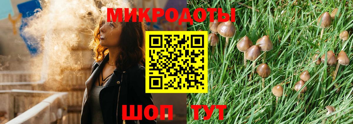 Псилоцибиновые грибы мухоморы  Лесозаводск  Псилоцибиновые грибы мицелий 