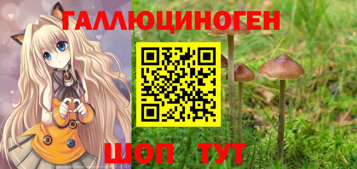 Галлюциногенные грибы ЛСД Лесозаводск